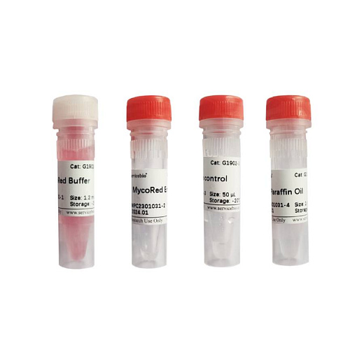 Набор для обнаружения микоплазмы одноэтапного методом изотермической ПЦР, 50 реакций, Servicebio