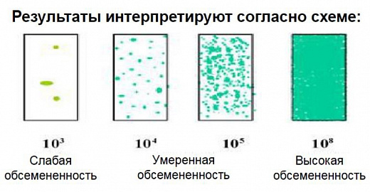 Микробиологические экспресс-тесты для подсчета КМАФАнМ (ОМЧ) и Enterobacteriaceae, двухстронние, Dip-Slides, 10 шт/уп Фото 2