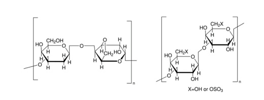 Агар LB по Lennox с ампициллином, 100 мкг/мл, Диаэм