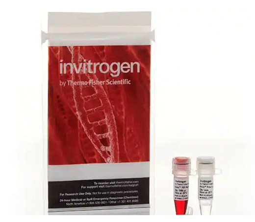 Эндонуклеаза рестрикции Anza 11 EcoRI, Thermo FS