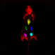 Примеры визуализаций животных in vivo
