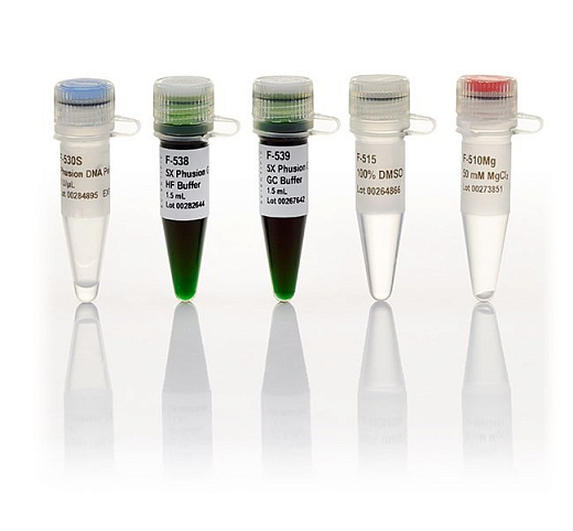 ДНК-полимераза Phusion Green, термостабильная, высокоточная, 2 ед/мкл