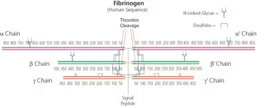 Фибриноген тип 1-s, из бычьей плазмы, структурная формула
