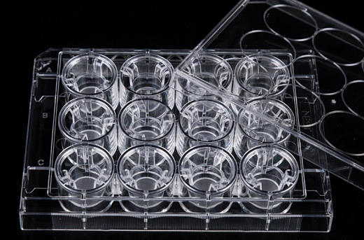 Планшеты культуральные 12-лун. со вставками и крышкой, Nest, Китай