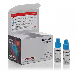Набор FxCycle Violet Ready Flow Reagent, для проточной цитометрии, 2х2,5 мл, 120 тестов