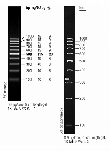 Маркер длин ДНК GeneRuler 100 bp, 10 фрагментов от 100 до 1000 п.н., готовый к применению, 0,5 мкг/мкл