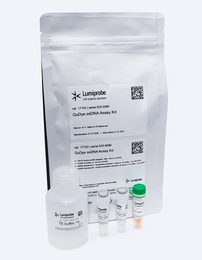 Набор для количественного определения одноцепочечной ДНК, 100 реакций, QuDye