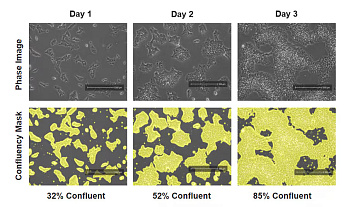 Измерение плотности клеточной культуры в режиме реального времени