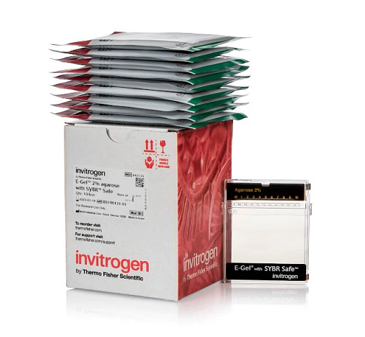 Гель агарозный готовый E-Gel Agarose Gels with SYBR Safe DNA Gel Stain, 2%, 10 шт./уп.