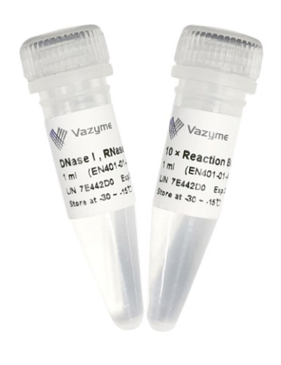 ДНКаза I, не содержащая РНКазы, Vazyme, Китай