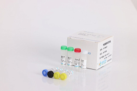 Rapid Library Prep Kit, 6 реакций, Polyseq Biotech