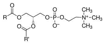 Лицитин соевый