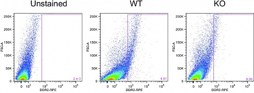 Набор для конъюгации антител PE / R-Phycoerythrin Conjugation Kit, Lightning-Link Фото 9
