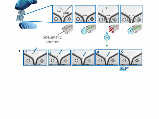 Система переноса клеток CloneSelect Single-Cell Printer Фото 3