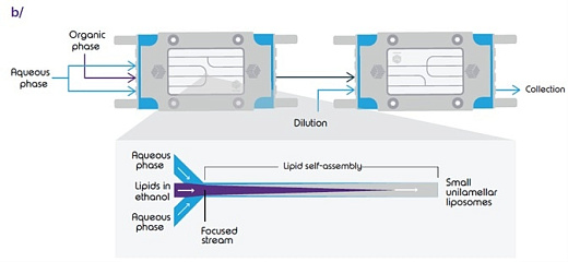 Схема генерации липосом ANP, Dolomite