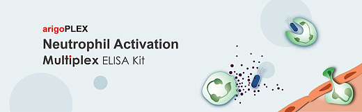 Набор ИФА arigoPLEX Rat Inflammatory Cytokine (IL-1β, IL-6, TNF-α, IL-10), 96 тестов, Arigobio, Китай