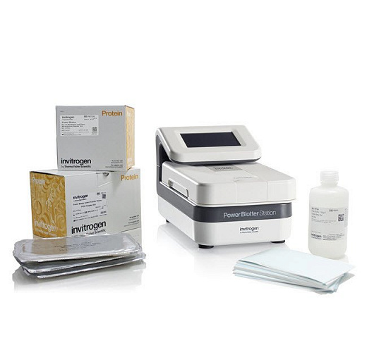 Система полусухого блоттинга Power Blotter со стартовым набором, площадь 16,4×25,3 см