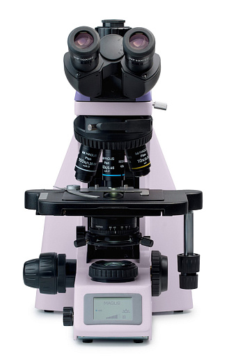 Микроскоп Magus Bio 260T, прямой, тринокуляр/бинокуляр, СП, планахромат 4×, 10×, 40×, 100× (вид спереди)