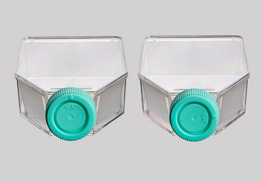 Флаконы культуральные, глухая крышка, обработанная поверхность (ТС), полистирол, стерильные, Jet Biofil, Китай