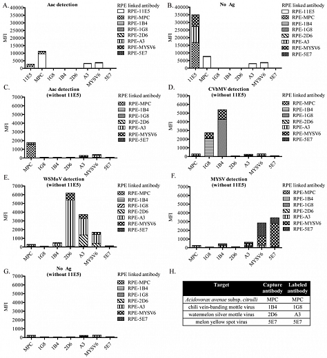 Набор для конъюгации антител PE / R-Phycoerythrin Conjugation Kit, Lightning-Link Фото 6
