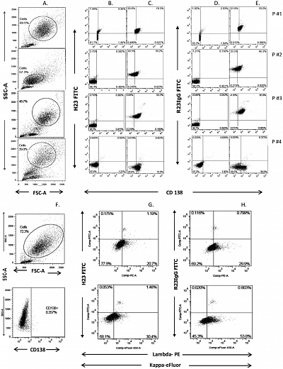 Набор для конъюгации антител PE / R-Phycoerythrin Conjugation Kit, Lightning-Link Фото 4