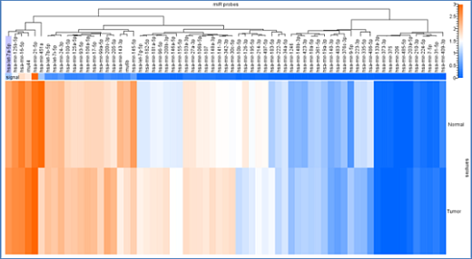 Панель для профилирования ми-РНК, Multiplex miRNA Assay Lung Cancer Panel – Cellular Фото 3