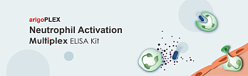 Набор ИФА arigoPLEX Mouse Fibrotic Markers, (IL-6, TNF-α, TGF-β1, PDGF-BB), 96 тестов, Arigobio, Китай