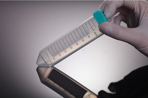 Пробирки 50 мл, ПП, резьбовые, конические, с крышкой, стерильные, без ДНКаз, РНКаз, пирогенов, premium, 12000g, 25 шт./штат., 500 штат./кор., Nest, Китай