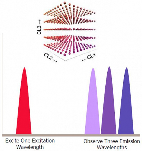 Система мультиплексного анализа, до 500 аналитов, FlexMap 3D Фото 2