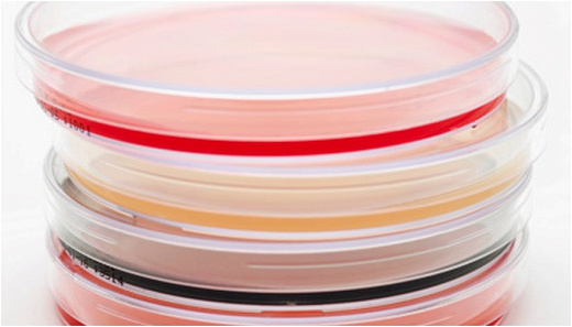 Чашки Петри 90 мм с триптон-соевым агаром (TSA), γ - облученные, TM Media