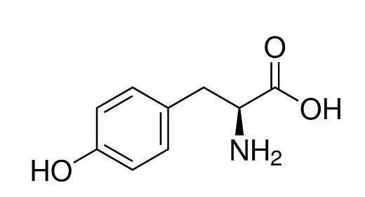 Тирозин-L, 99,0-101,0%, pure EP, USP (pharma grade), neoFroxx