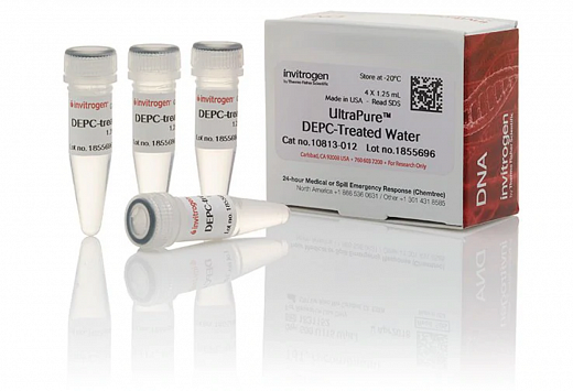 Вода стерильная, обработанная диэтилпирокарбонатом, свободная от ДНКаз и РНКаз, для работы с нуклеиновыми кислотами, Thermo FS