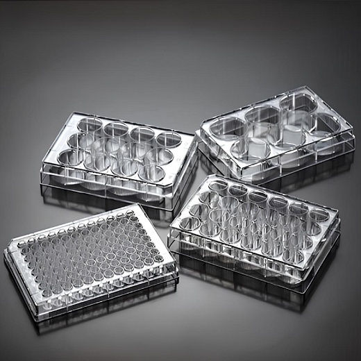 Планшеты культуральные 1-384-лун., необработанные, плоскодонные, прозрачные, стерильные, Jet Biofil, Китай