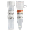 Набор для ПЦР AccuGO pfu PCR Kit