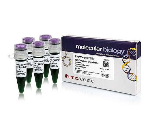 Буфер FastDigest Green для ускоренного гидролиза ДНК эндонуклеазами рестриции FastDigest, с буфером для нанесения, 10x