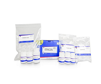 Набор для выделения плазмидной ДНК на спин-колонках из дрожжей SPINeasy Yeast Plasmid, МИНИ