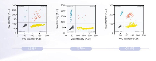 Результаты детекции мутаций в гене EGFR генома человека