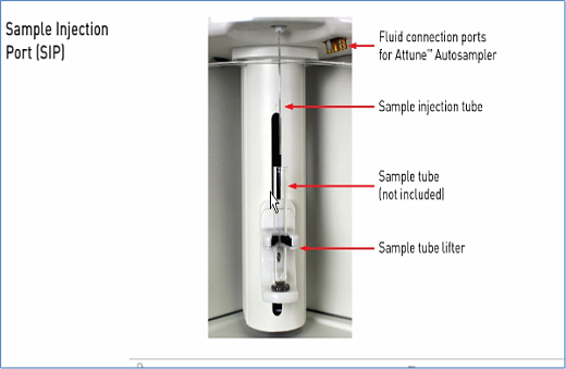 Проточный цитофлуориметр Attune NxT, инъекционный порт